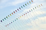 EUROCUP STACK 2011 CERVIA00151